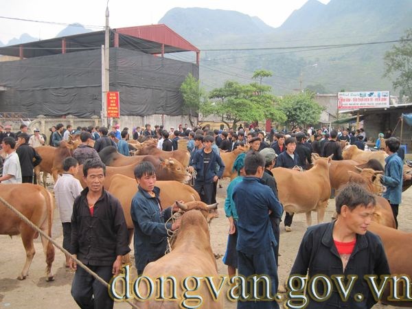 Nét văn hóa ở phiên chợ bò Cao nguyên đá. (16/3/2016)